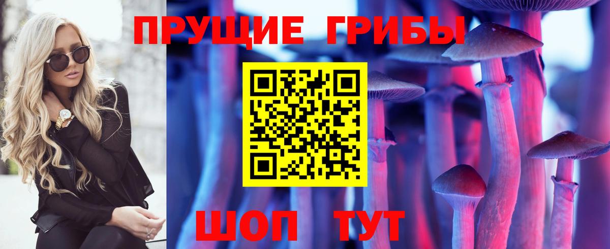 Галлюциногенные грибы Psilocybe  Вход с VPN  Красноуфимск 
